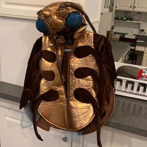 Hallow’s Eve Fly Halloween costume. Sz 4T like new